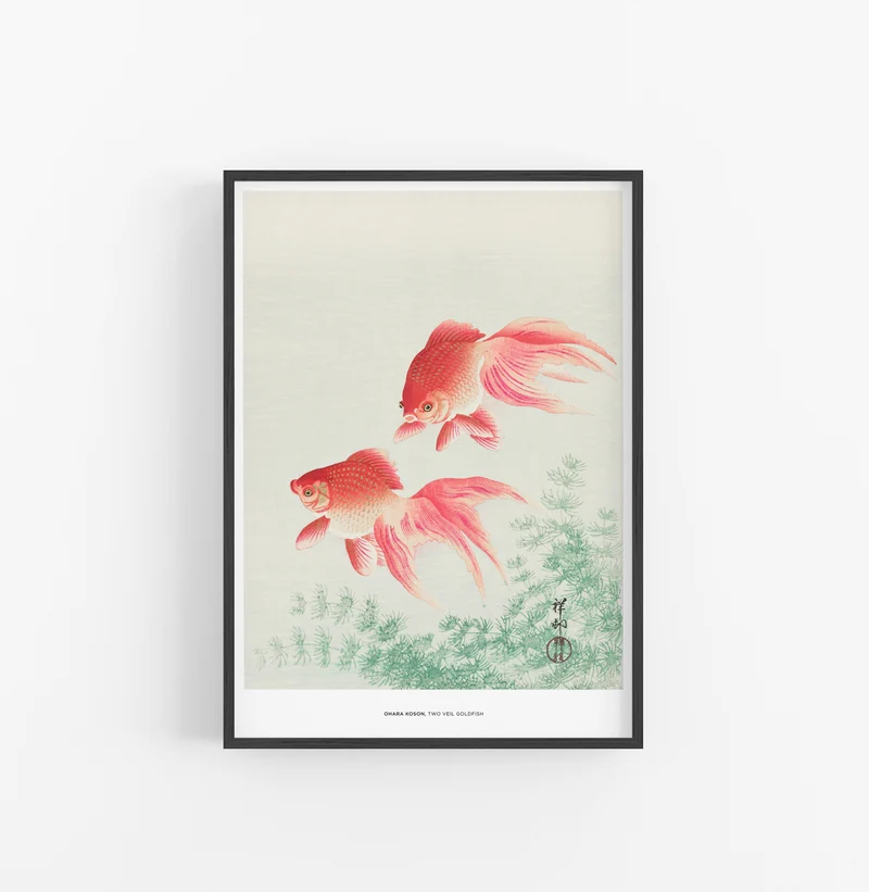 Cuadro Ohara Koson Two Veil Goldfish
