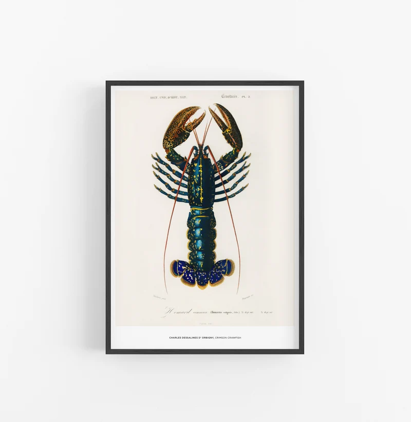 Cuadro Charles Dessalines D Orbigny Crismon Crawfish