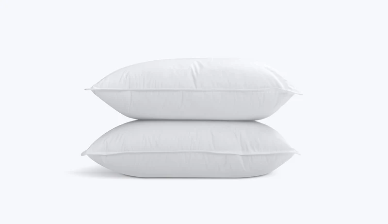 Almohadas Híbridas x2